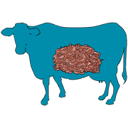 gound beef